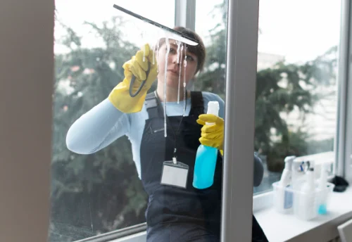 Nettoyage de vitres intérieures et extérieures à Mondoubleau